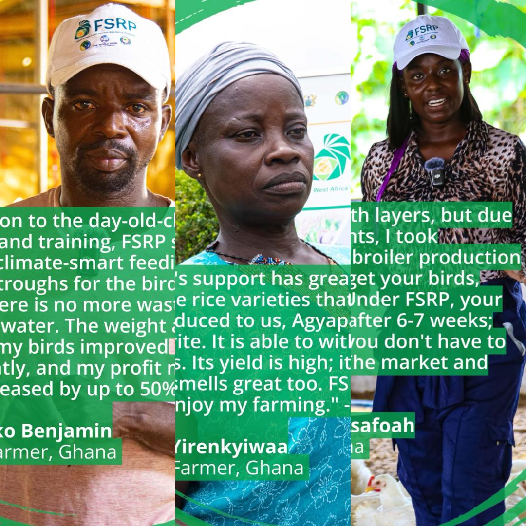 The West Africa Food System Resilience Programme (FSRP) is empowering people across Ghana