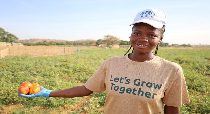 FROM DRY FIELDS TO FULL BASKETS (How Ghana's Tomato Farmers Are Re-writting The Dry Season)
